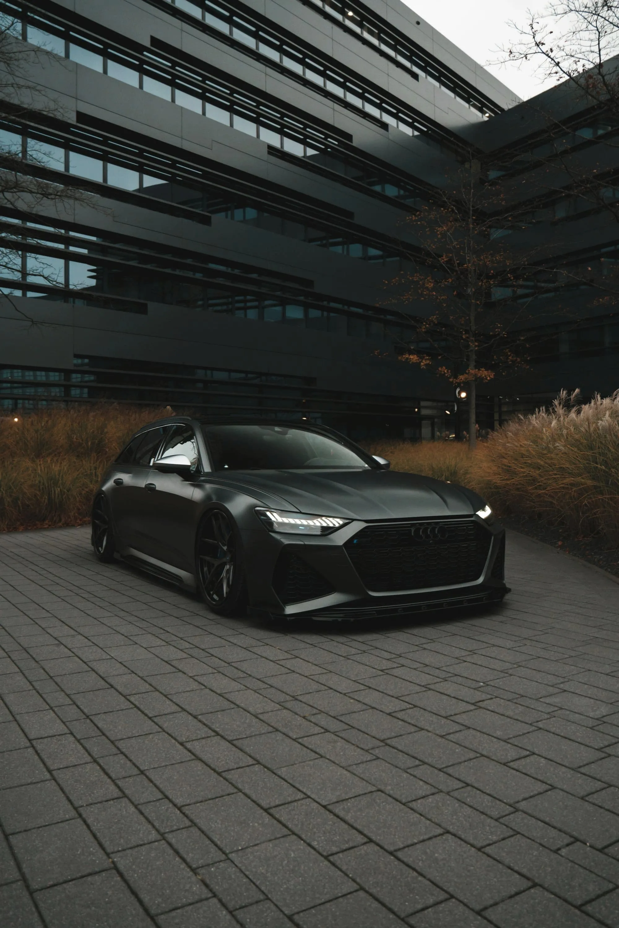 Grey Audi RS6 Avant at dusk among ornamental grasses