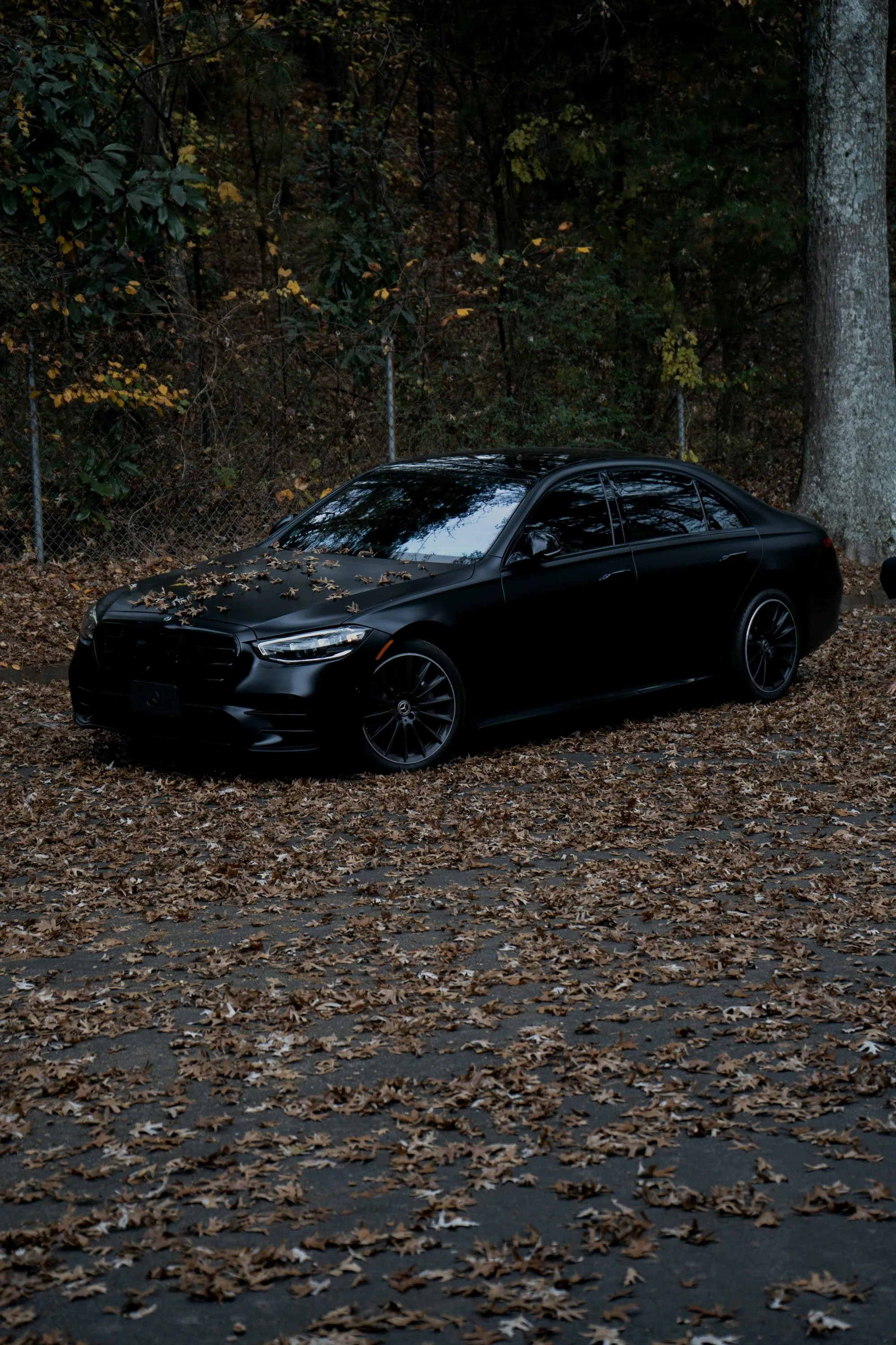 Matte black Mercedes-AMG S 63 from the front quarter on a leaf-covered road
